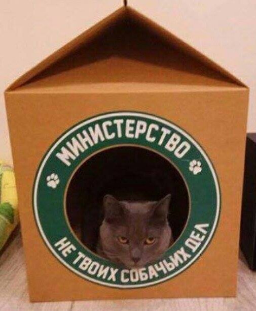 Картинки с текстами