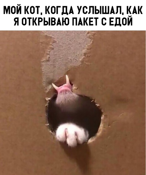 Немного картинок для настроения 16.11.19