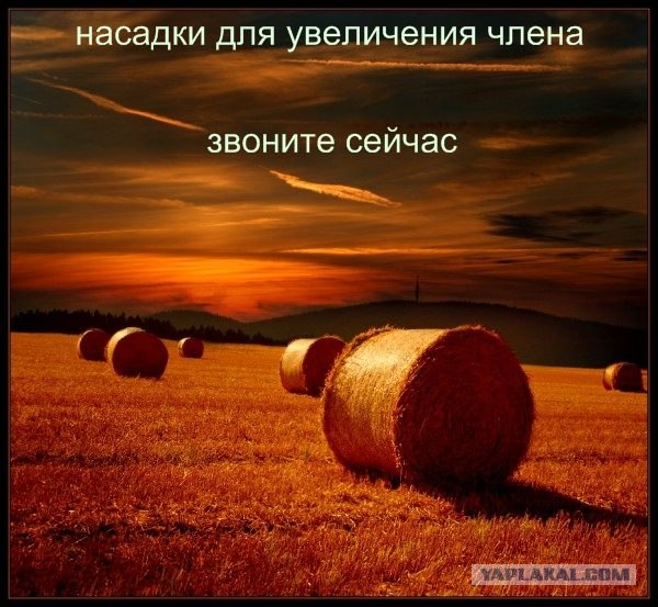 Фантазии на тему рекламы в интернете