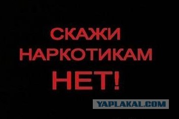 Соц. реклама по Сочински