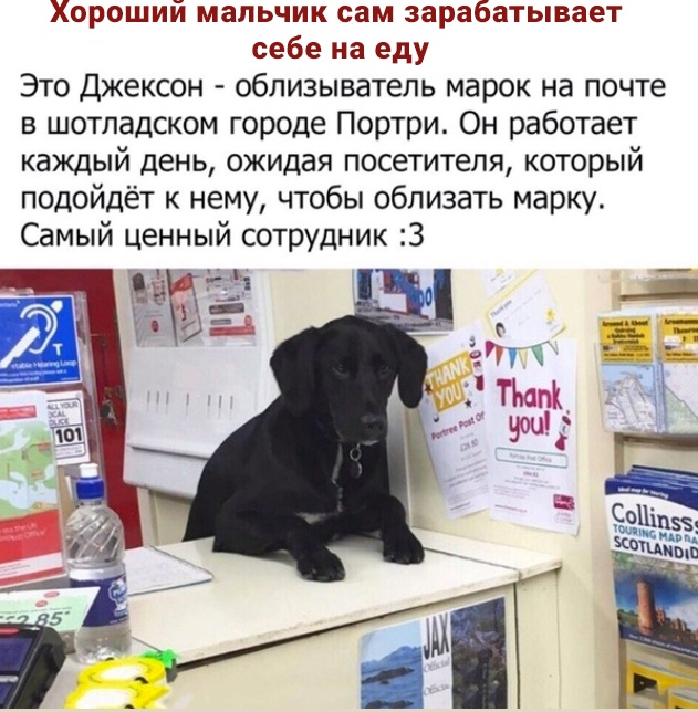 Чуток картинок. 02.02.20