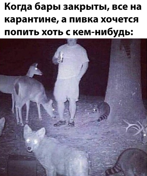 Пара-пара-пам! Фьють!