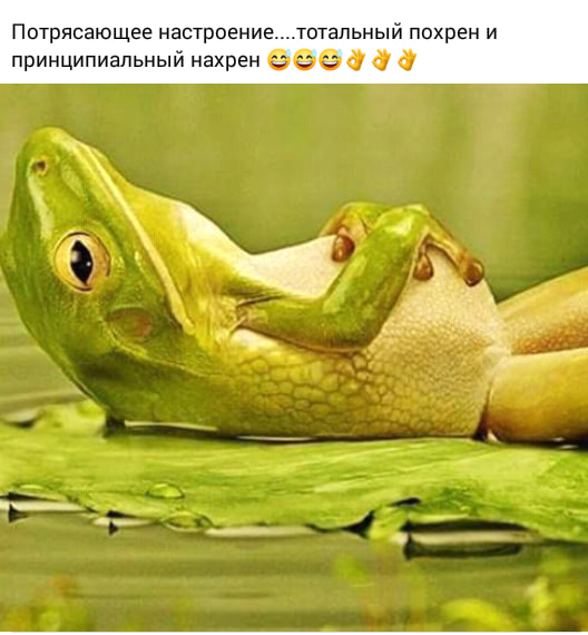 Немного картинок для настроения 22.04.20