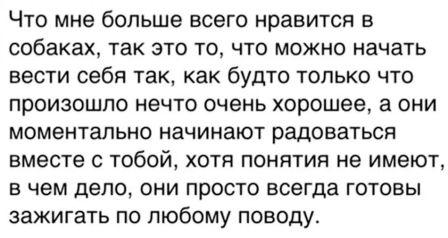 Хозяин приехал!!!