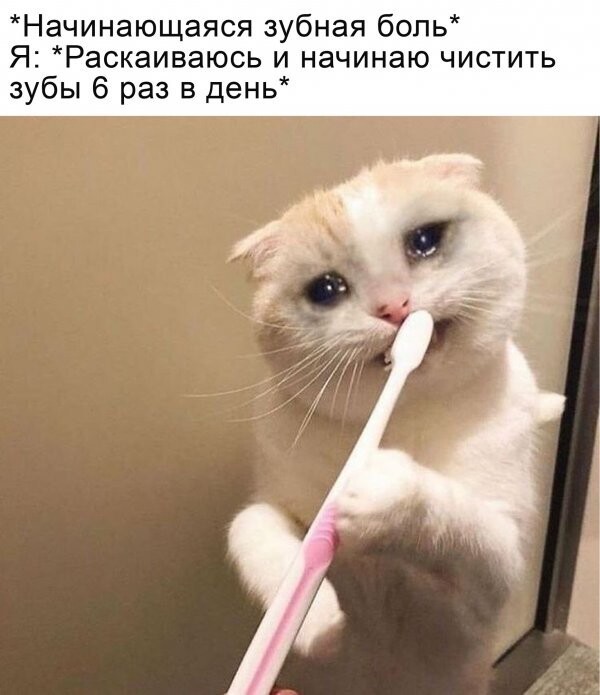 Подборка разнообразных картинок