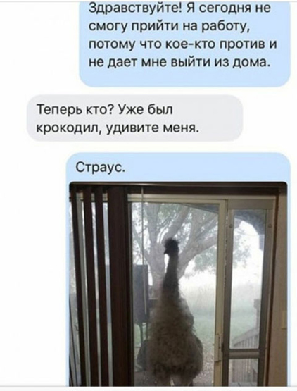 Немного картинок для настроения 09.11.20