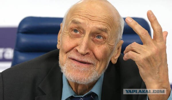 Самки горилл разбушевались