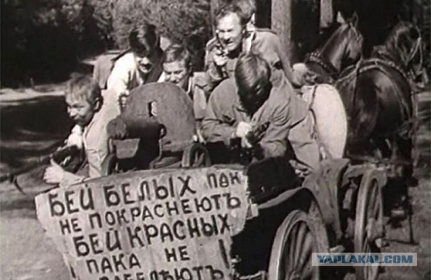 Правительство решило задушить цветочный бизнес