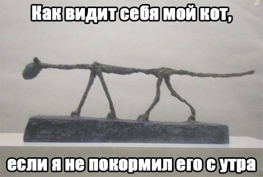 Где кушоц?