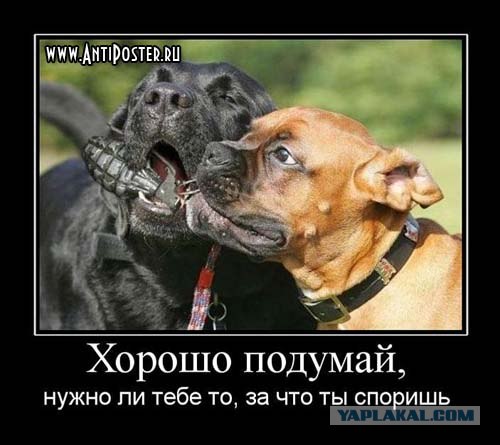 Маразм крепчал..