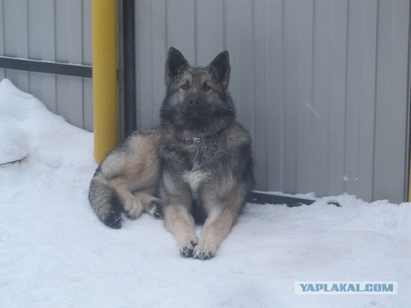 Перемена настроения