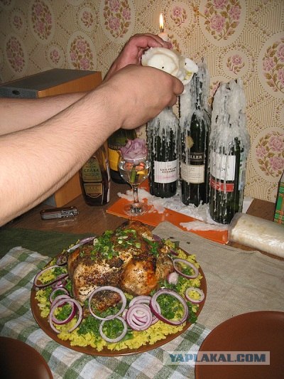 Ноги, хвосты… главное – крылья!, Кура-International–2, куриные крылья