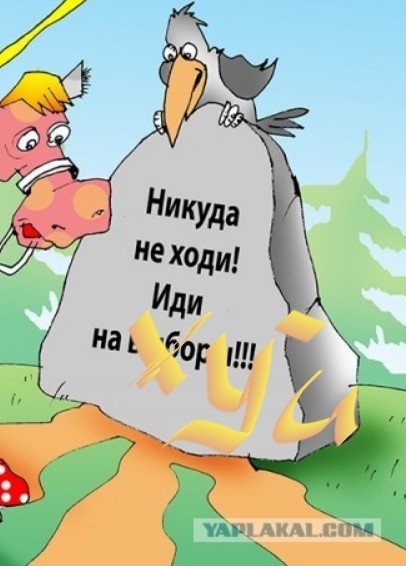 Голосуй или получишь..
