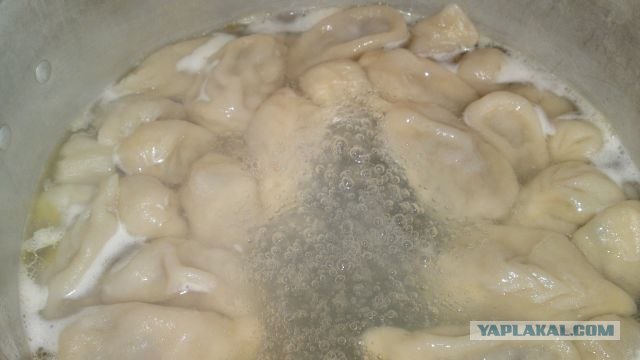 Пятничные посиделки на теплотрассе ©