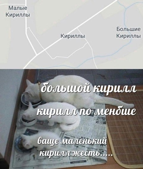 Картинки и мемы для настроения 27.09.2021