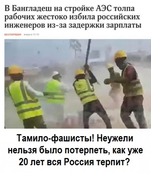 Весёлый полтишок 02.11