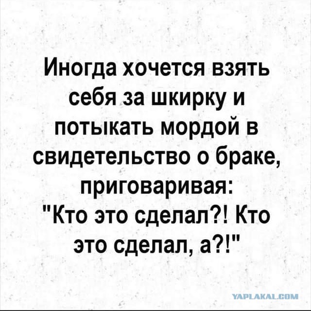 Картинки - не картинки. Смешные - не смешные 2