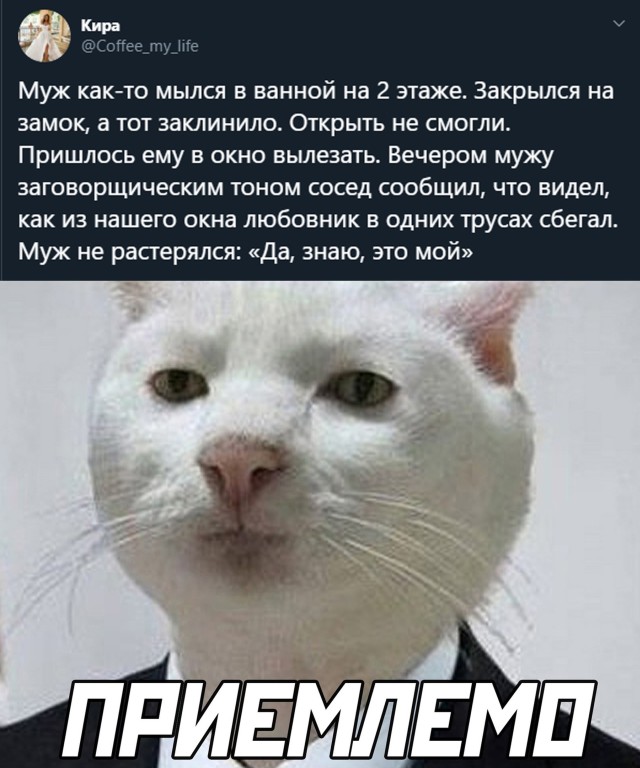 Подборка картинок и мемов для поднятия настроения
