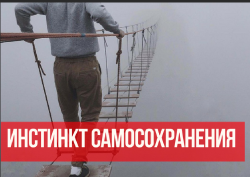 На сегодня хватит интернета...