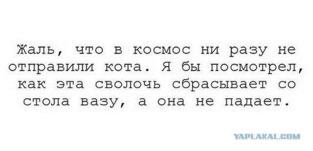 50 оттенков серого.  Vol. 6 Или самосвал баянов.  50 штук.