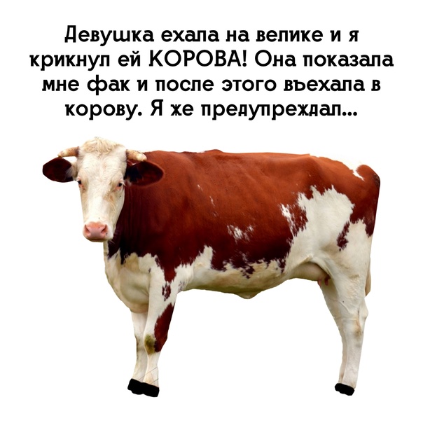 Картинки и мемы для настроения - 19