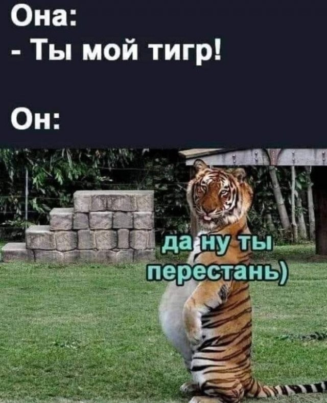 Пятница. И немного слегка пошлых картинок с надписями и без 16+ (12.08)