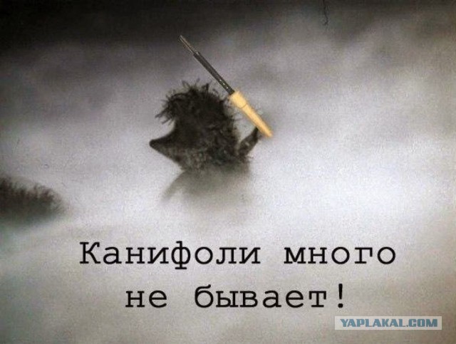5 научных фактов, которые не укладываются в голове