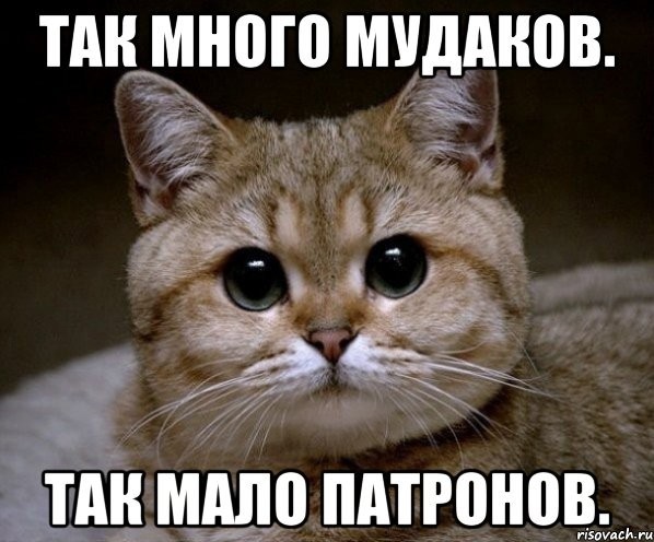 Генерал, который ударил Министра Обороны Сердюкова