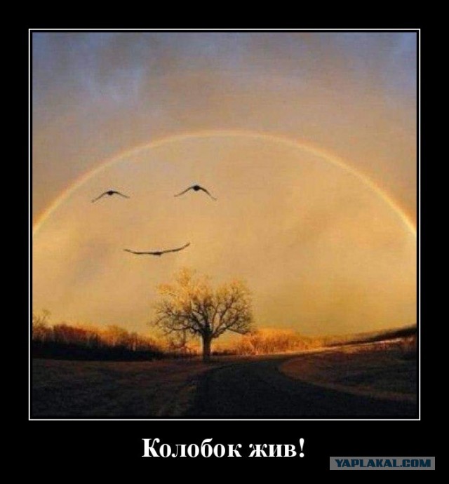 БесСистемная подборка 2