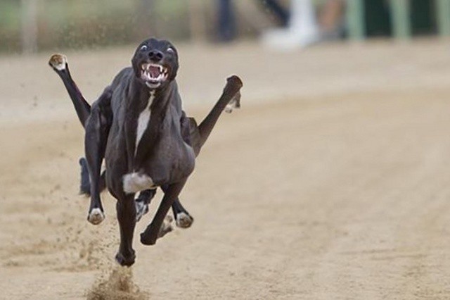 Подборка интересных и прикольных фото из Сети 01.04.23