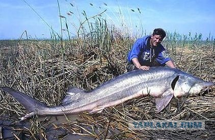 Всё о Туркменистане
