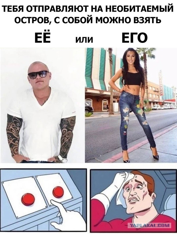 Весёлый полтишок 28.06.23