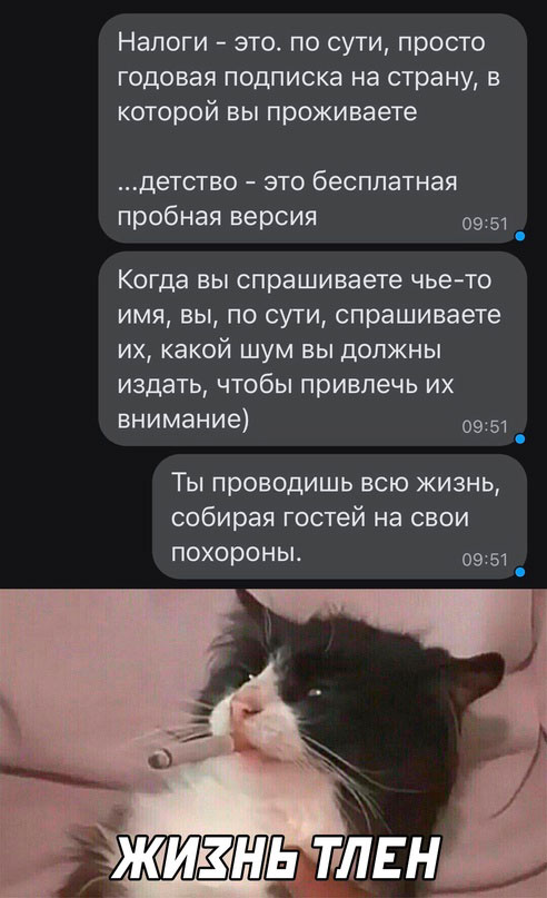 Весёлый полтишок 26.10.23