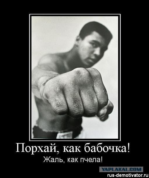 Mustela erminea, Горностай домашний