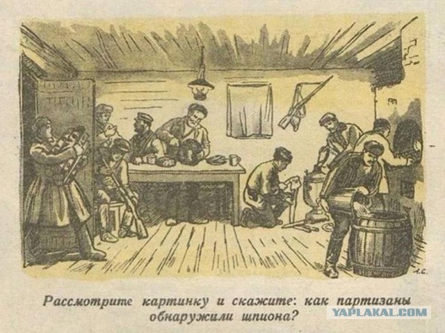Нуштош 30.05.2024
