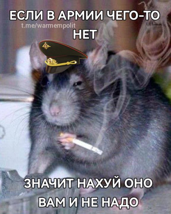«Солдатское мыло»: чем оно отличалось от «хозяйственного»