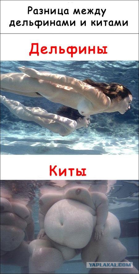 Ну теперь ты мой.