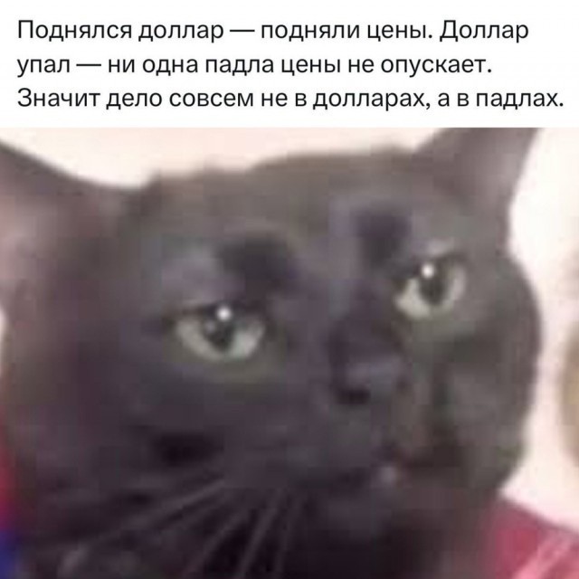 Икра на Новый Год по 10-12 тысяч не покатила? Ну ок, немного снизим,только купите!