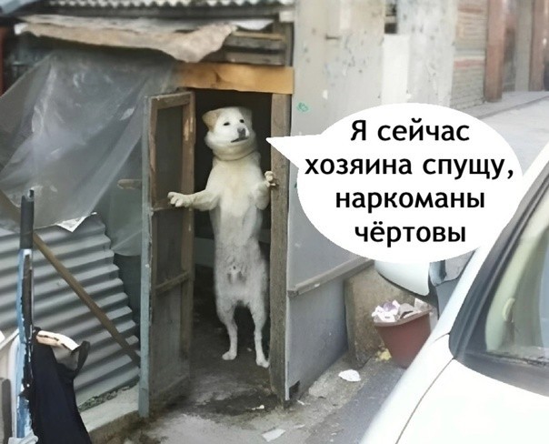 Насколько это реально?