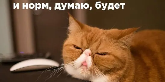 Веселое настроение в картинках (28.07.2025)