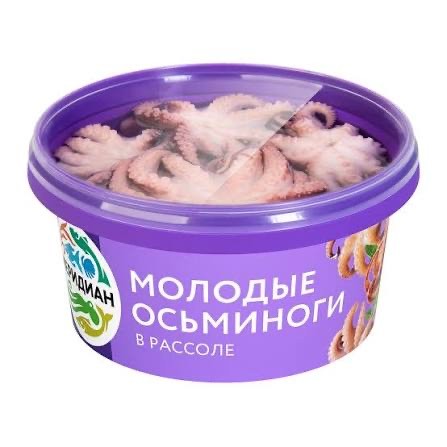 Всемирный день осьминога