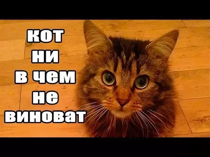 Поставил бульончик...
