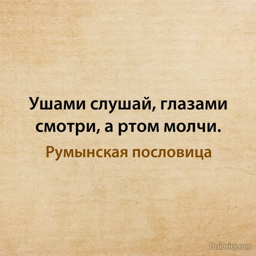Так себе картинки 24.12.25
