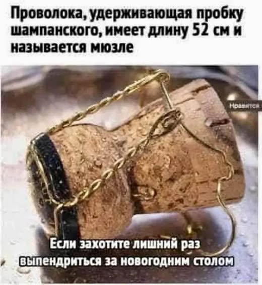 Так себе картинки 27.12.25