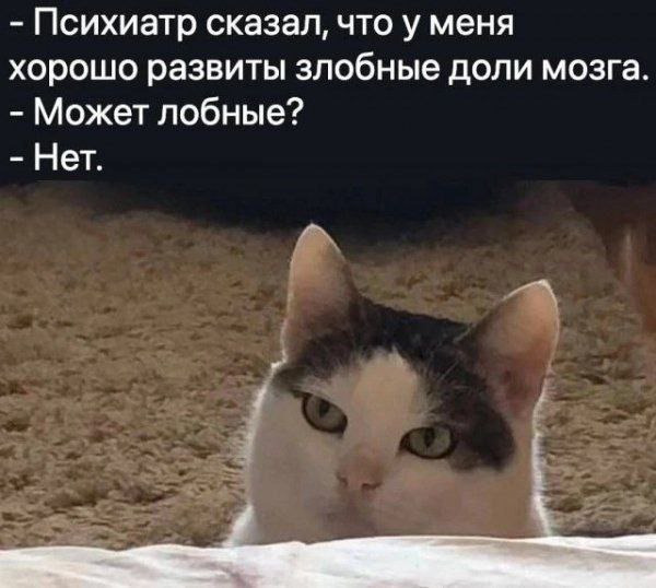 Котямбосы
