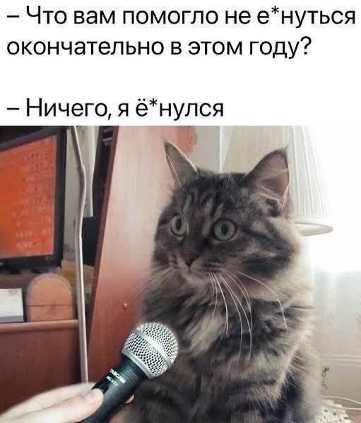 Заметил, что у многих завсегдатаев на ЯПе начинает свистеть под крышей