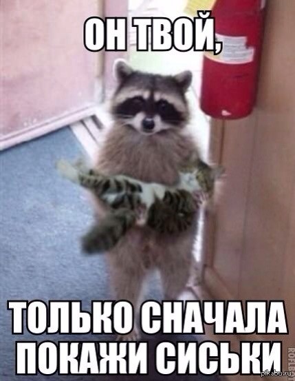 Именно так все и происходит...