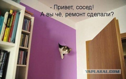 Домик для котэ