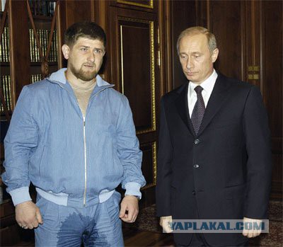 СКР Чечни не устоял перед Кадыровым