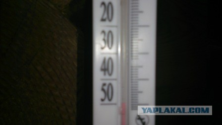 -50.0 У кого ниже?